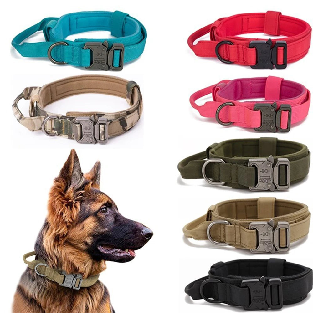 Tactical Dog Collar set for training larger stronger breeds of dogs
