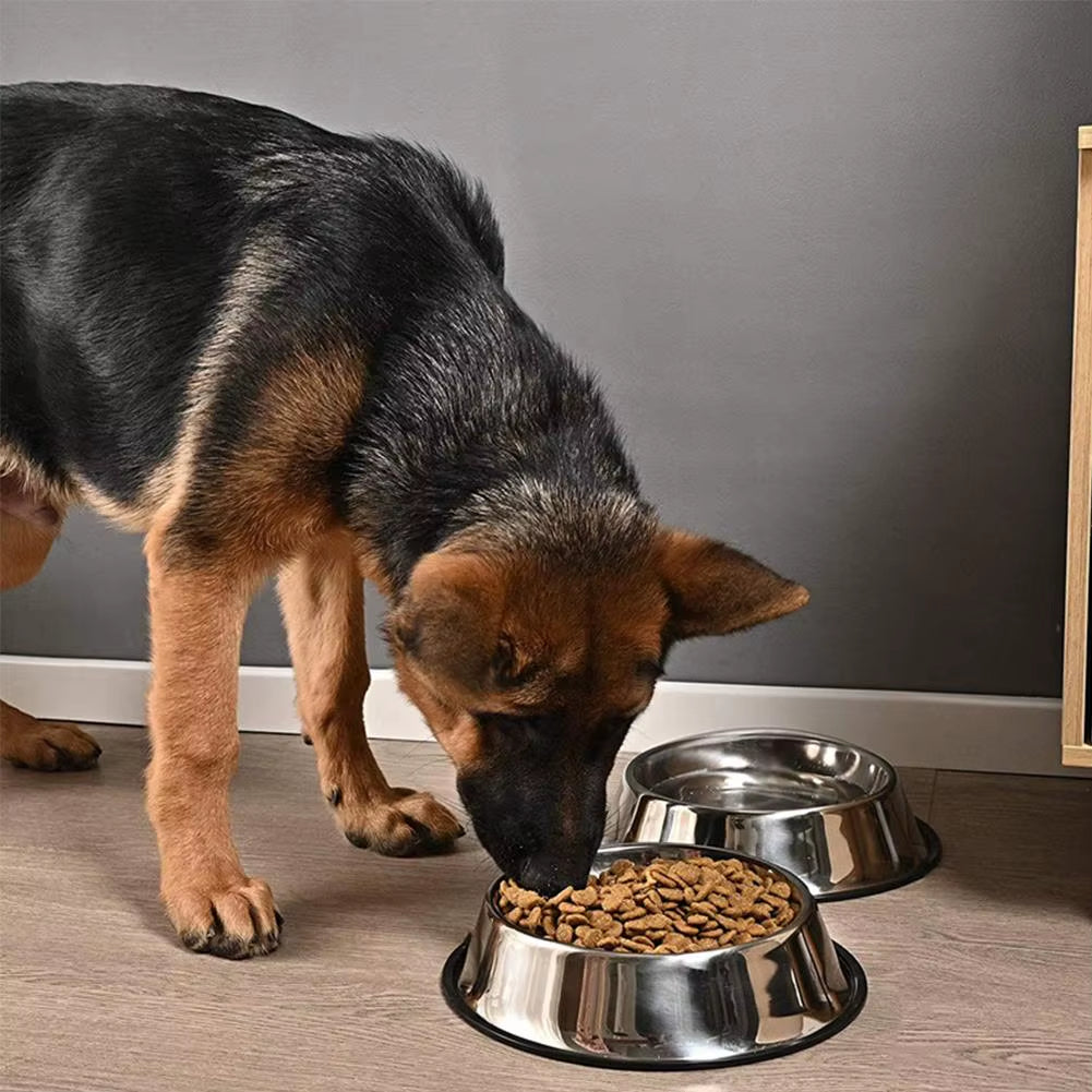 Stainless Steel Non-Slip Dog Bowl Set for Food and Water - Pet Feeding Accessories