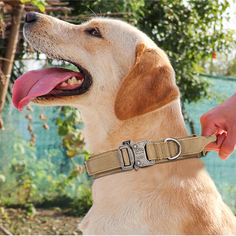 Tactical Dog Collar set for training larger stronger breeds of dogs