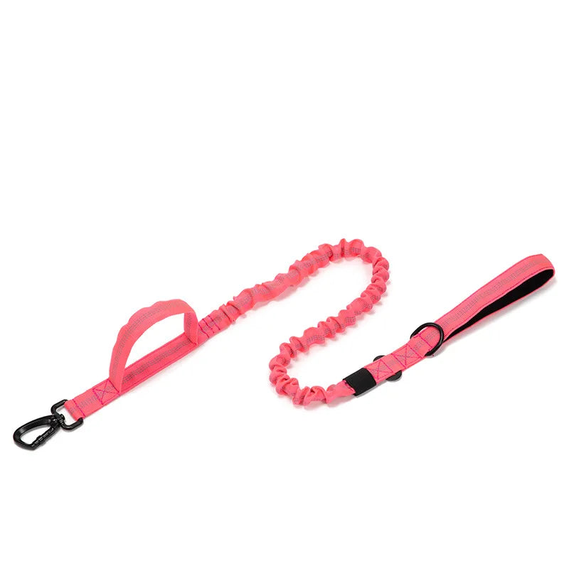 Tactical Dog Collar set for training larger stronger breeds of dogs