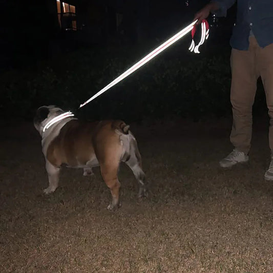 Relective dog leads, perfect day or in particular on night time walks 1.2/1.5/1.8M