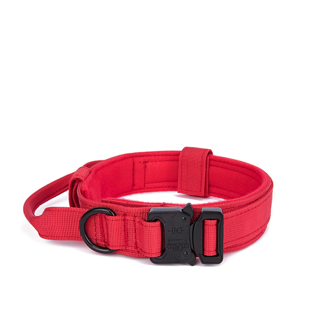 Tactical Dog Collar set for training larger stronger breeds of dogs