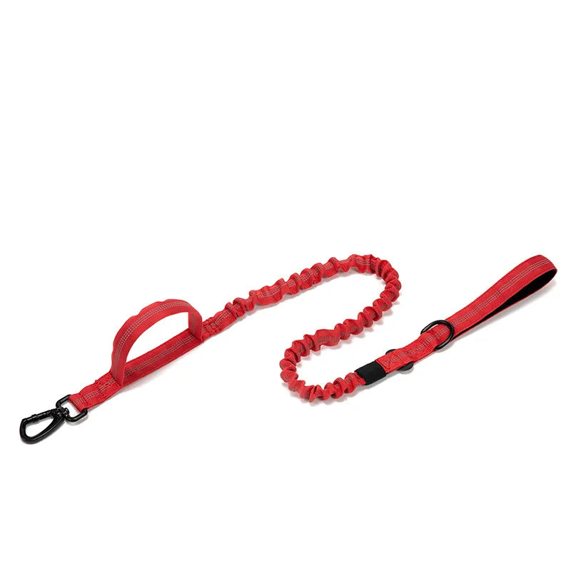Tactical Dog Collar set for training larger stronger breeds of dogs